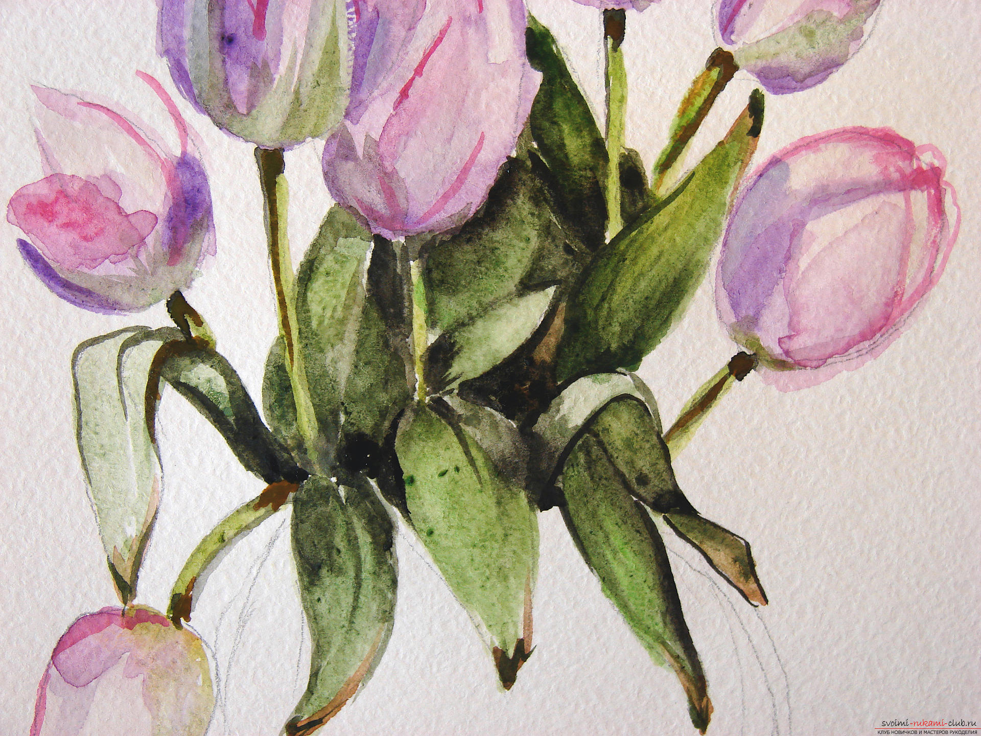 Мастер-класс по рисованию с фото научит как нарисовать цветы, подробно описав как рисуются тюльпаны поэтапно.. Фото №16
